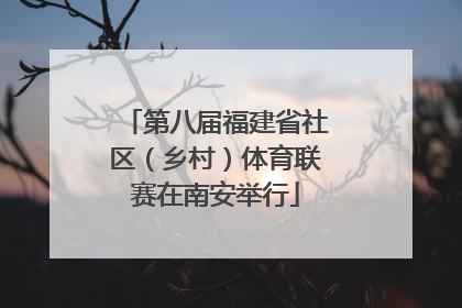第八届福建省社区（乡村）体育联赛在南安举行